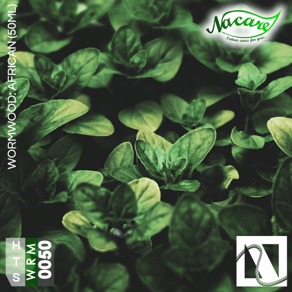 Wormwood: African (50ml) Wormwood: African (50ml)